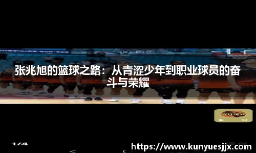 3377体育官网